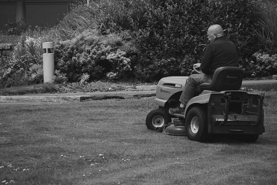 Pelouse entretenue et espace vert aménagé